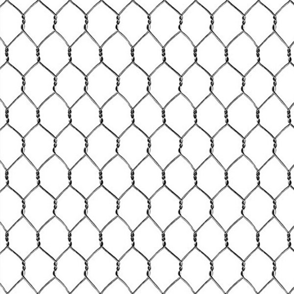 I-Hexagonal wire mesh