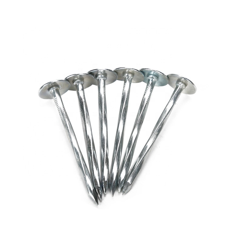 China Hot selling 2022 China professional factory Umbrella head zinc  corrugated roofing nail with different sizes - Shijiazhuang Sunshine  Imp&Exp Trade Co., Ltd.